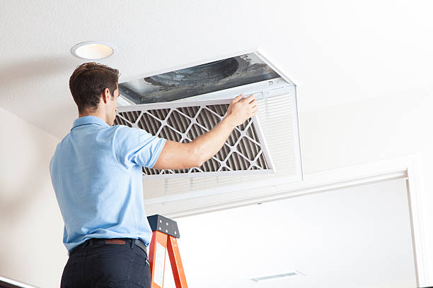 Best Air quality test  in Woodhaven, MI